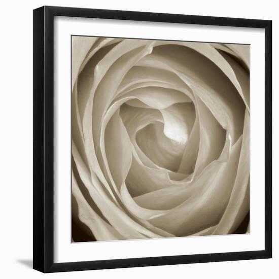 Rose Dawn II-Renee W. Stramel-Framed Art Print