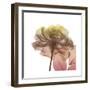 Rose Dawn-Albert Koetsier-Framed Art Print