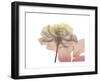 Rose Dawn-Albert Koetsier-Framed Art Print