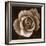 Rose - Duotone-Katano Nicole-Framed Photo