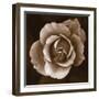 Rose - Duotone-Katano Nicole-Framed Photo