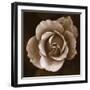 Rose - Duotone-Katano Nicole-Framed Photo