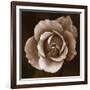 Rose - Duotone-Katano Nicole-Framed Photo