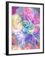 Rose Emotion-Alaya Gadeh-Framed Premium Photographic Print