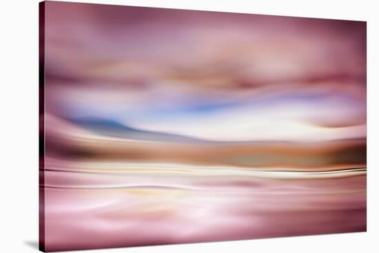 Rose Evening-Ursula Abresch-Stretched Canvas