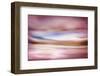 Rose Evening-Ursula Abresch-Framed Photographic Print