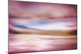 Rose Evening-Ursula Abresch-Mounted Photographic Print