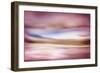 Rose Evening-Ursula Abresch-Framed Photographic Print