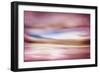 Rose Evening-Ursula Abresch-Framed Photographic Print