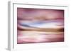 Rose Evening-Ursula Abresch-Framed Photographic Print