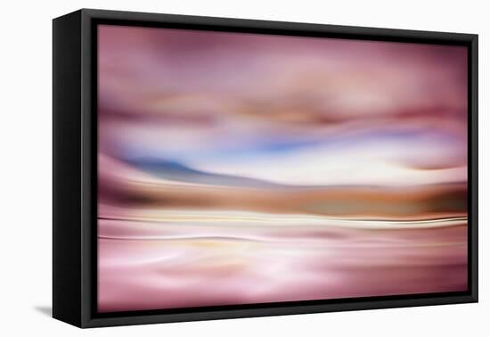 Rose Evening-Ursula Abresch-Framed Stretched Canvas