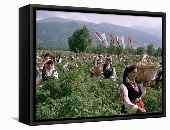 Rose Festival, Bulgaria-Adam Woolfitt-Framed Stretched Canvas