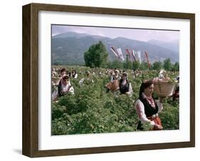 Rose Festival, Bulgaria-Adam Woolfitt-Framed Photographic Print