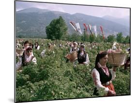 Rose Festival, Bulgaria-Adam Woolfitt-Mounted Photographic Print