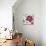 Rose Flower II-Asia Jensen-Mounted Art Print displayed on a wall