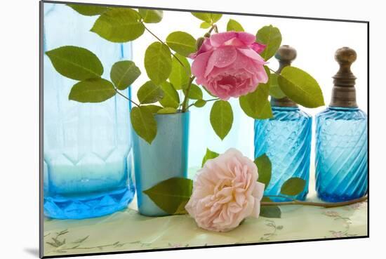 Rose Flowers-Erika Craddock-Mounted Photographic Print