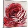 Rose For Warhol-Jodi Maas-Mounted Giclee Print