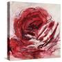 Rose For Warhol-Jodi Maas-Stretched Canvas