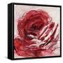 Rose For Warhol-Jodi Maas-Framed Stretched Canvas