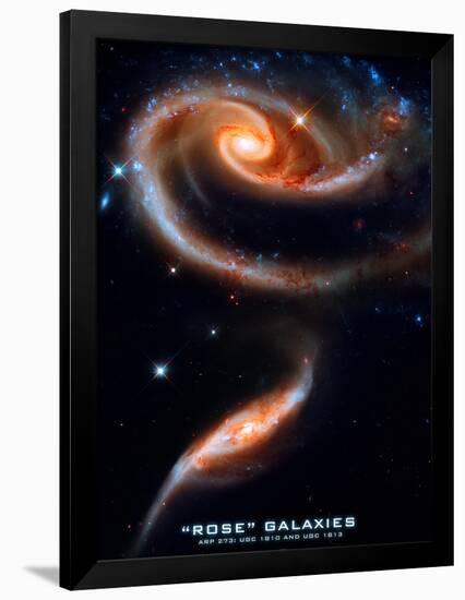 Rose Galaxies Hubble Space Photo Poster Print-null-Framed Poster