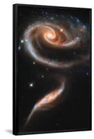 Rose Galaxy Hubble Space Photo Art Poster Print-null-Framed Poster