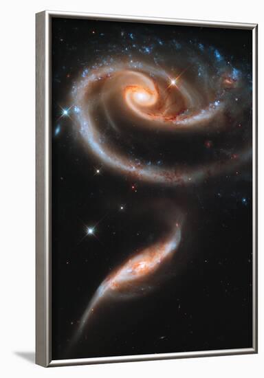 Rose Galaxy Hubble Space Photo-null-Framed Poster