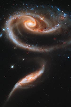 https://imgc.allpostersimages.com/img/posters/rose-galaxy-hubble-space-photo_u-L-PXJAVB0.jpg?artPerspective=n