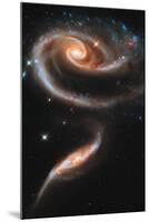 Rose Galaxy Hubble Space Photo-null-Mounted Poster