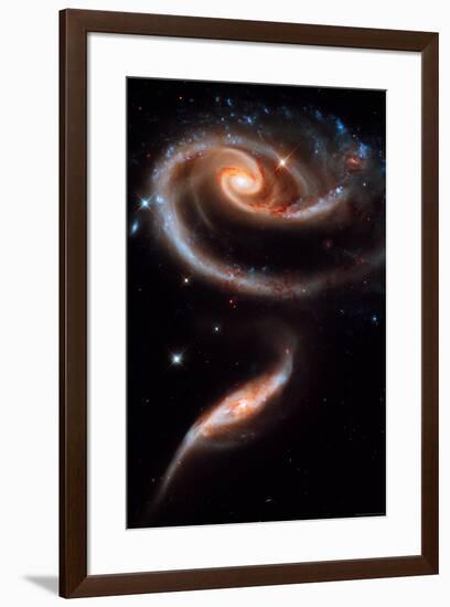 Rose Galaxy Hubble Space-null-Framed Photo