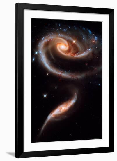 Rose Galaxy Hubble Space-null-Framed Photo