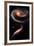 Rose Galaxy Hubble Space-null-Framed Photo