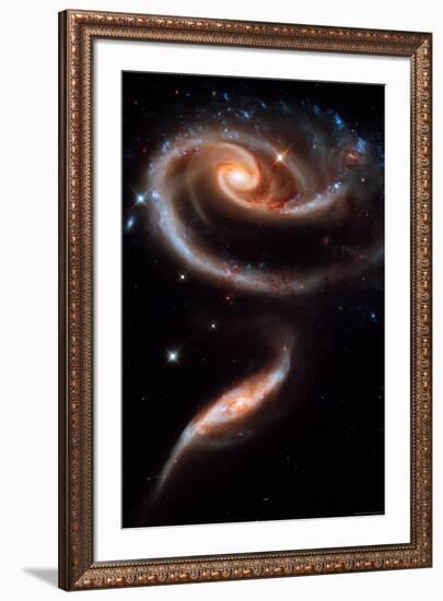 Rose Galaxy Hubble Space-null-Framed Photo