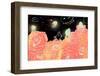 Rose Garden, 2014-Yoyo Zhao-Framed Photographic Print