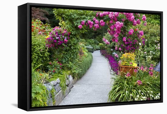 Rose Garden at Butchard Gardens in Full Bloom, Victoria, British Columbia, Canada-Terry Eggers-Framed Stretched Canvas