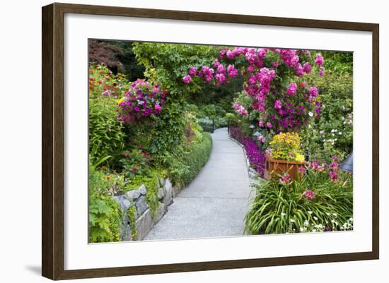 Rose Garden at Butchard Gardens in Full Bloom, Victoria, British Columbia, Canada-Terry Eggers-Framed Photographic Print