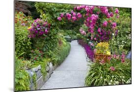 Rose Garden at Butchard Gardens in Full Bloom, Victoria, British Columbia, Canada-Terry Eggers-Mounted Photographic Print