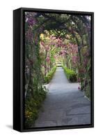 Rose Garden at Butchard Gardens in Full Bloom, Victoria, British Columbia, Canada-Terry Eggers-Framed Stretched Canvas