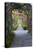 Rose Garden at Butchard Gardens in Full Bloom, Victoria, British Columbia, Canada-Terry Eggers-Stretched Canvas