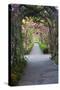 Rose Garden at Butchard Gardens in Full Bloom, Victoria, British Columbia, Canada-Terry Eggers-Stretched Canvas