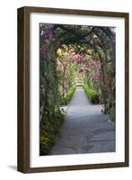 Rose Garden at Butchard Gardens in Full Bloom, Victoria, British Columbia, Canada-Terry Eggers-Framed Photographic Print