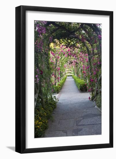 Rose Garden at Butchard Gardens in Full Bloom, Victoria, British Columbia, Canada-Terry Eggers-Framed Photographic Print