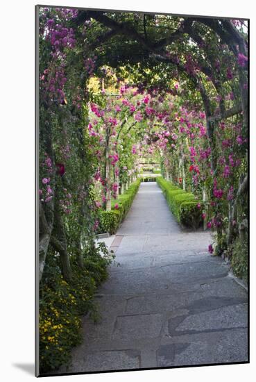 Rose Garden at Butchard Gardens in Full Bloom, Victoria, British Columbia, Canada-Terry Eggers-Mounted Photographic Print