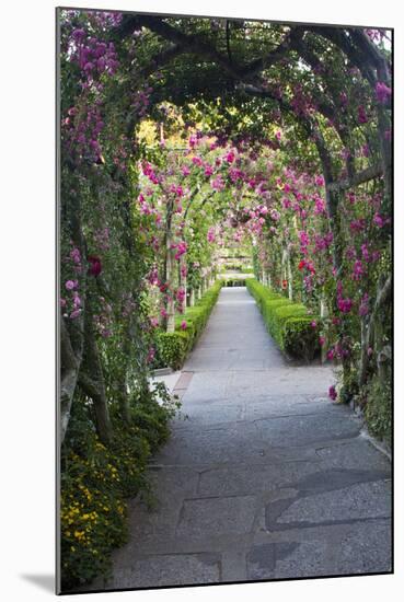 Rose Garden at Butchard Gardens in Full Bloom, Victoria, British Columbia, Canada-Terry Eggers-Mounted Photographic Print