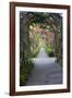 Rose Garden at Butchard Gardens in Full Bloom, Victoria, British Columbia, Canada-Terry Eggers-Framed Photographic Print