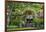 Rose Garden at Butchard Gardens in Full Bloom, Victoria, British Columbia, Canada-Terry Eggers-Framed Photographic Print