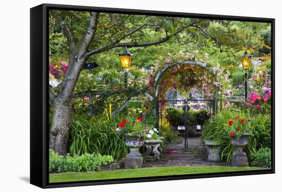 Rose Garden at Butchard Gardens in Full Bloom, Victoria, British Columbia, Canada-Terry Eggers-Framed Stretched Canvas