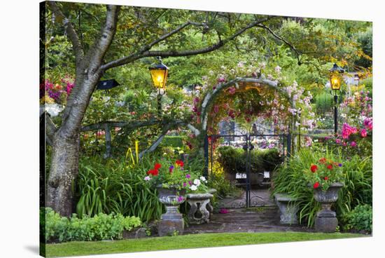Rose Garden at Butchard Gardens in Full Bloom, Victoria, British Columbia, Canada-Terry Eggers-Stretched Canvas