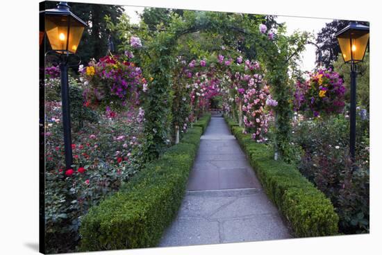 Rose Garden at Butchard Gardens in Full Bloom, Victoria, British Columbia, Canada-Terry Eggers-Stretched Canvas