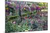 Rose Garden at Butchard Gardens in Full Bloom, Victoria, British Columbia, Canada-Terry Eggers-Mounted Photographic Print