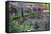 Rose Garden at Butchard Gardens in Full Bloom, Victoria, British Columbia, Canada-Terry Eggers-Framed Stretched Canvas